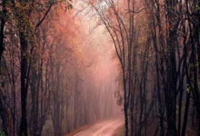 重磅足球新闻，豪强尽显实力！