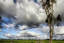 地结资更来源起建多产资球外：破解新时代发展新方程