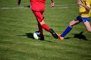 爱游戏体育-仰泳项目美队稳住阵脚，仰泳的比赛视频  第2张